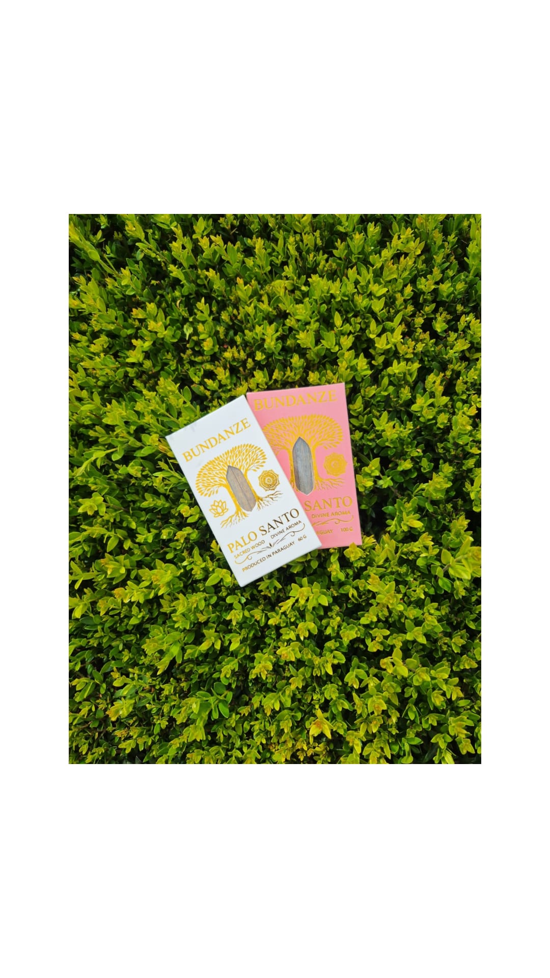 Bundanze Palo Santo Ritual Duo — Pink & White Set  (160 G)
